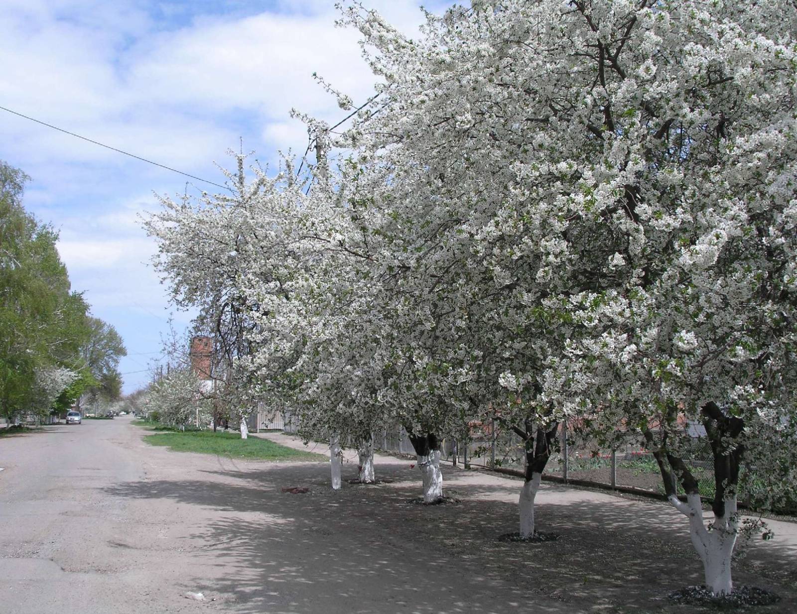 Весна на ул. Первомайской