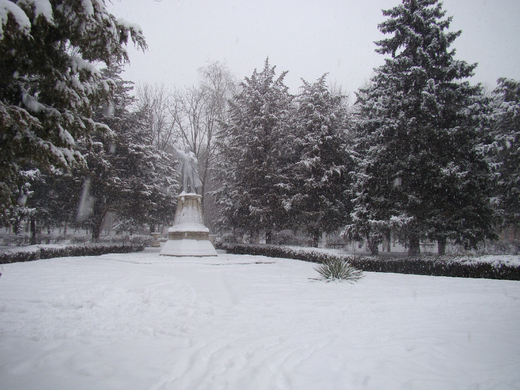 Зима в парке Приморско-Ахтарска